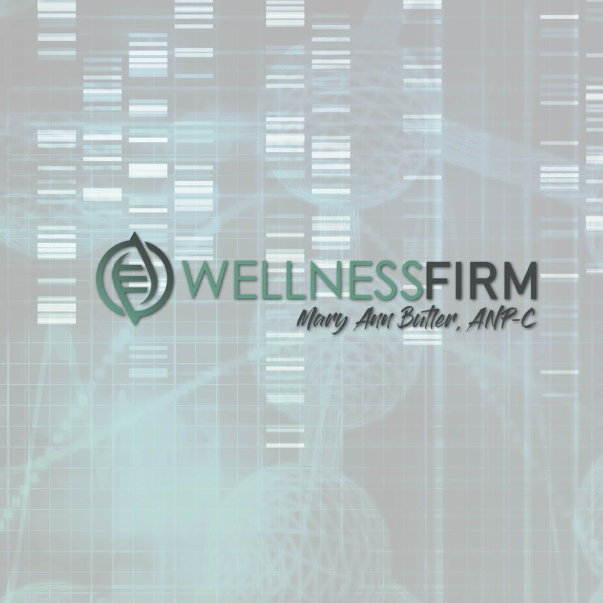 Wellness Firm PLLC Logo Design Website Design Social Media and Marketing strategy